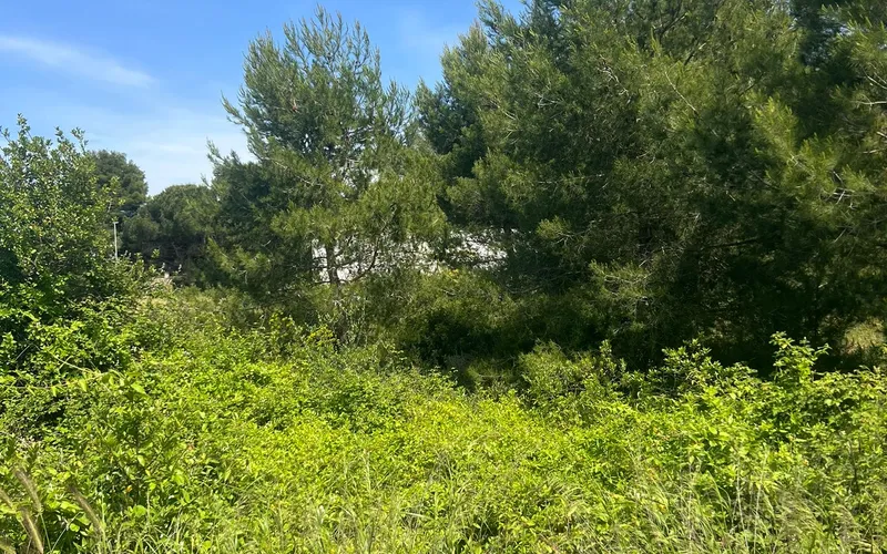 Pozemek k rekreaci 600m od pláže