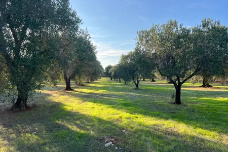 Land by the sea 12,500m2 APPROVED BUILDING PERMIT