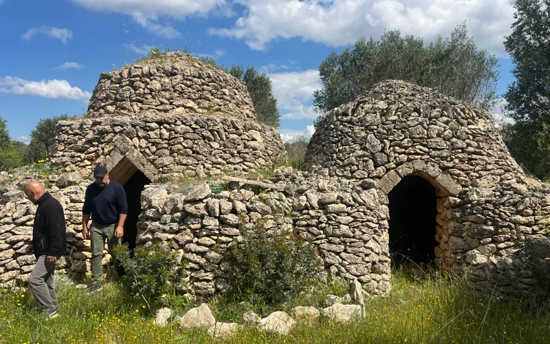 Land with old Trullo and olive trees