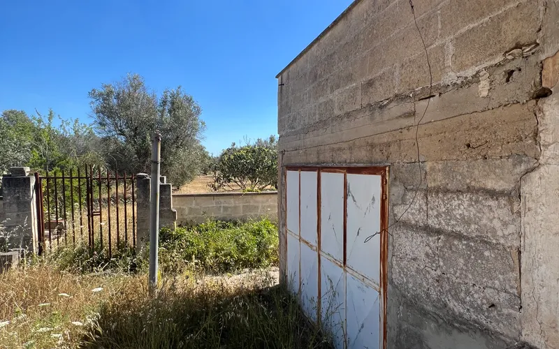 House with a big land 10km from the sea