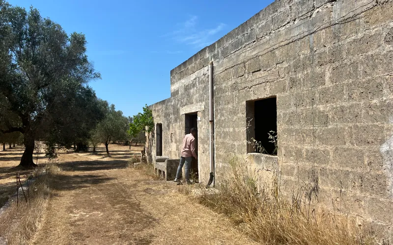 House with a hectare of land for renovation