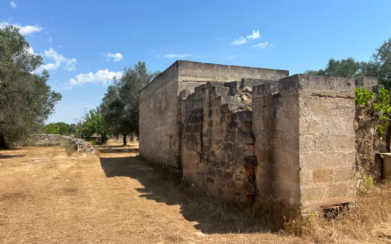 House with a hectare of land for renovation