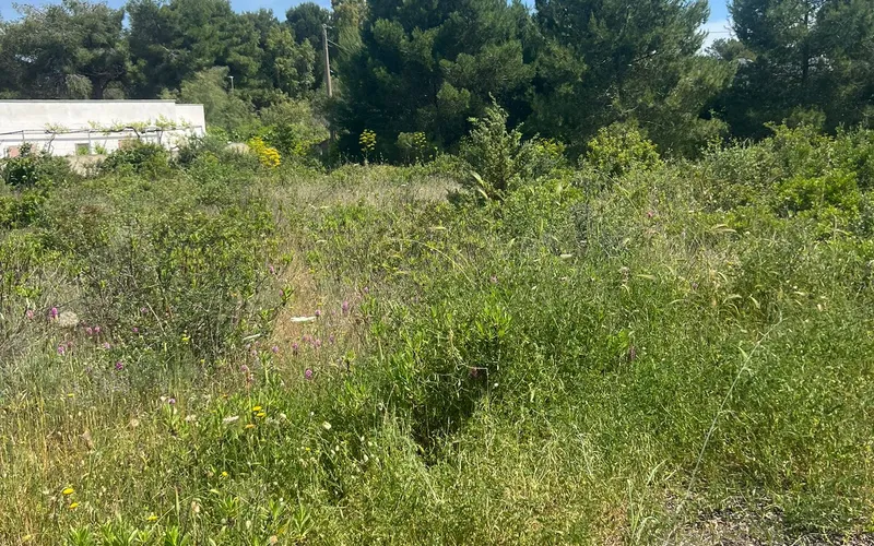 Pozemek k rekreaci 600m od pláže