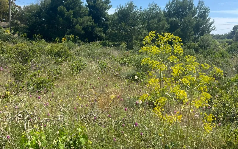 Pozemek k rekreaci 600m od pláže