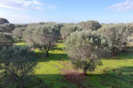 Agricultural land for caravan 5 km from the sea