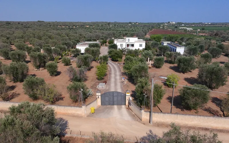 Masseria na prodej