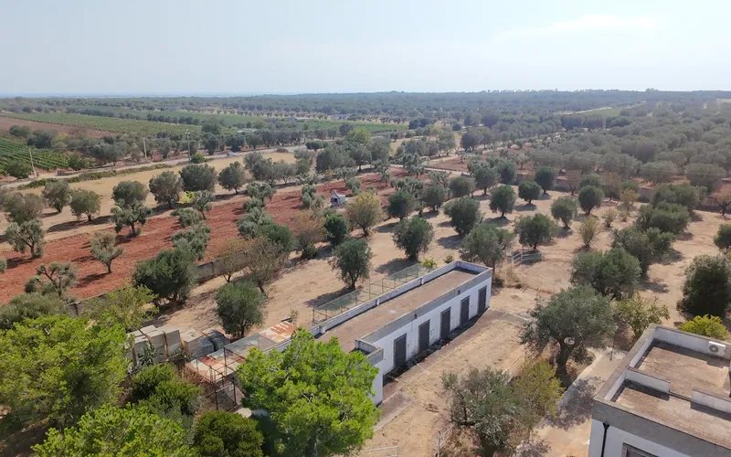 Masseria na prodej