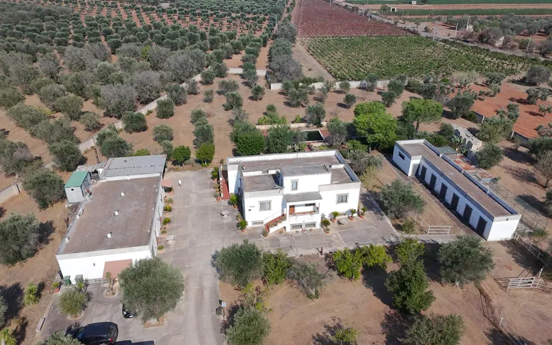 Masseria na prodej